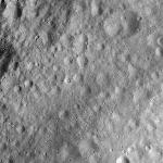 FC21A0008431_11275140437F5X.jpg