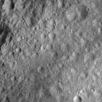 FC21A0008433_11275140451F7X.jpg