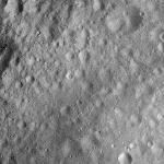 FC21A0008434_11275140456F8X.jpg
