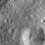 FC21A0008442_11275141029F8X.jpg