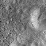 FC21A0008445_11275141525F3X.jpg