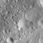 FC21A0008452_11275142047F2X.jpg