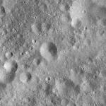 FC21A0008459_11275142611F1X.jpg