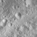 FC21A0008466_11275142655F8X.jpg