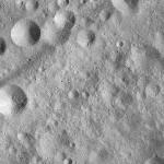 FC21A0008471_11275143208F5X.jpg