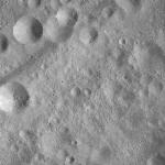 FC21A0008473_11275143222F7X.jpg