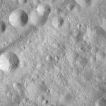 FC21A0008474_11275143228F8X.jpg