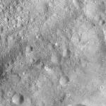 FC21A0008485_11275144255F3X.jpg