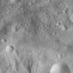FC21A0008509_11275145925F3X.jpg