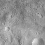 FC21A0008513_11275145952F7X.jpg