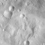 FC21A0008518_11275150503F4X.jpg