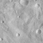 FC21A0008524_11275151020F2X.jpg