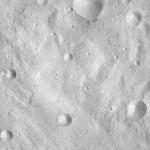 FC21A0008526_11275151037F4X.jpg