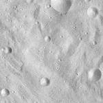 FC21A0008527_11275151043F5X.jpg