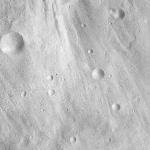 FC21A0008536_11275152018F6X.jpg
