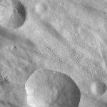 FC21A0008554_11275154438F8X.jpg