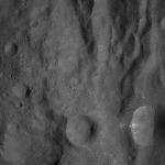 FC21A0008580_11275163150F2X.jpg