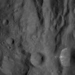 FC21A0008581_11275163156F3X.jpg