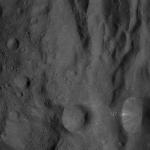 FC21A0008583_11275163217F5X.jpg