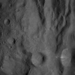 FC21A0008584_11275163224F6X.jpg