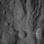 FC21A0008585_11275163231F7X.jpg