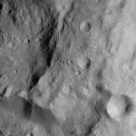FC21A0008590_11275164401F4X.jpg