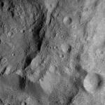 FC21A0008593_11275164422F7X.jpg
