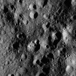 FC21A0008636_11276013522F2X.jpg