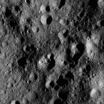 FC21A0008637_11276013528F3X.jpg