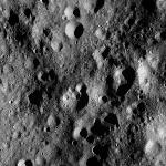 FC21A0008638_11276013534F4X.jpg