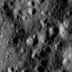 FC21A0008641_11276013555F7X.jpg