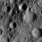 FC21A0008654_11276014907F4X.jpg