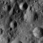 FC21A0008657_11276014927F7X.jpg
