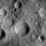 FC21A0008665_11276015458F7X.jpg