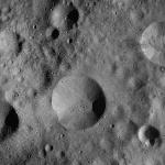 FC21A0008666_11276015504F8X.jpg