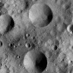 FC21A0008669_11276015954F3X.jpg