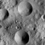 FC21A0008670_11276020001F4X.jpg