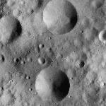 FC21A0008674_11276020028F8X.jpg