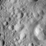 FC21A0008686_11276021108F4X.jpg