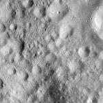 FC21A0008695_11276021638F5X.jpg
