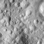 FC21A0008696_11276021645F6X.jpg