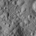 FC21A0008698_11276021702F8X.jpg