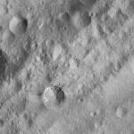 FC21A0008734_11276024401F4X.jpg