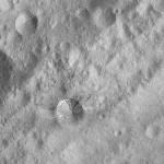 FC21A0008738_11276024430F8X.jpg