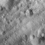 FC21A0008739_11276024913F1X.jpg