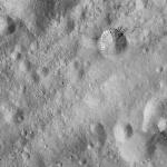 FC21A0008742_11276024938F4X.jpg