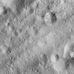 FC21A0008743_11276024945F5X.jpg