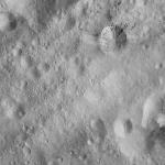 FC21A0008744_11276024952F6X.jpg