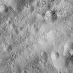 FC21A0008745_11276025001F7X.jpg