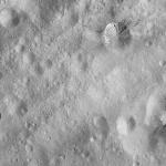 FC21A0008746_11276025008F8X.jpg